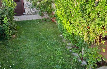 Apartman Roža - Photo 21