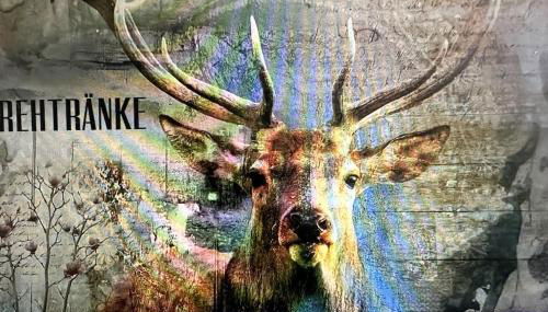 Lingen Living - Foto 2