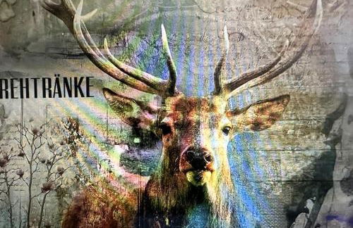 Lingen Living - Foto 2