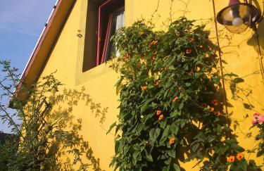 Zum Waldmeister - Foto 16