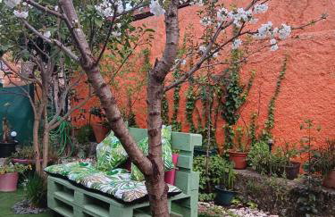 O Cantinho de Góis - Foto 28