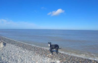 Escale à Saint Wary classé 4 Étoiles - Foto 40