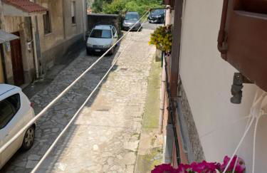 Sweet Home Sofia - Foto 11