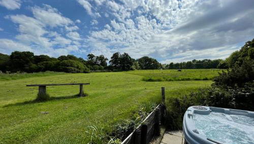 Deer Lodge - Photo 2