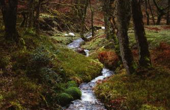 Pardlestone Farm – Self-Catering Cottages - Foto 85