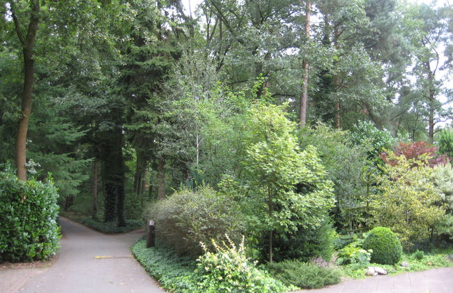 3 bedroom House in Lochem with garden and terrace - Photo 15