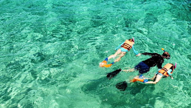 Snorkeling à Los Cabos
