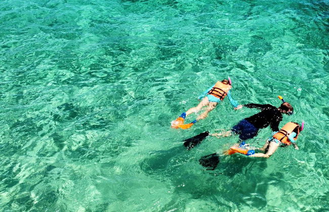 Snorkeling à Los Cabos - Photo 2