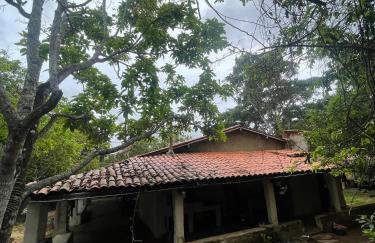 Sítio na Serra de Mulungu - Foto 1