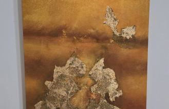 Domaine familial avec grand parc et piscine - Foto 66