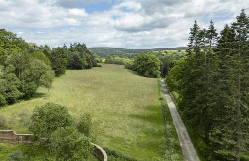 The Old Potting Shed, Egton - Foto 30