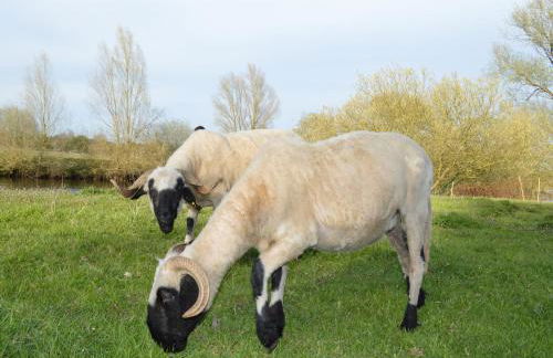 Tranquil Holiday Home in Winsen near River - Foto 74