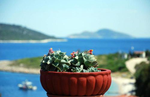 Vila Elena 2 astoning view - Foto 38