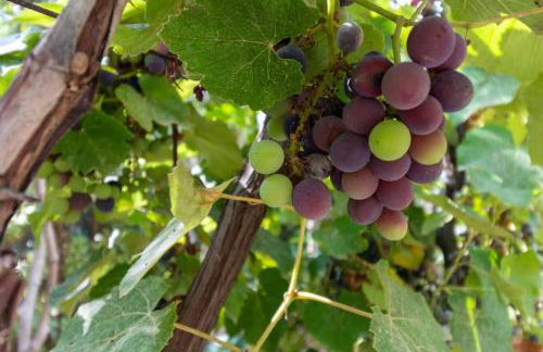 Sogno Mediterraneo Pula Sardegna villa a soli 300 mt dal mare - Foto 47