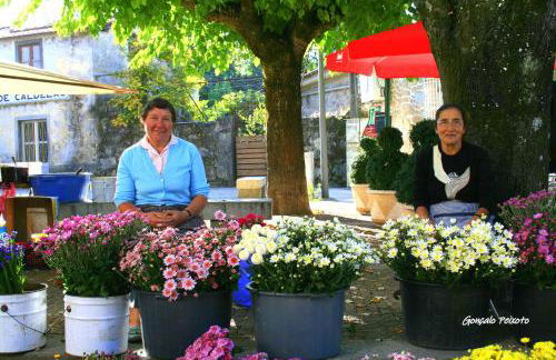 Casa Da Rocha - Foto 6