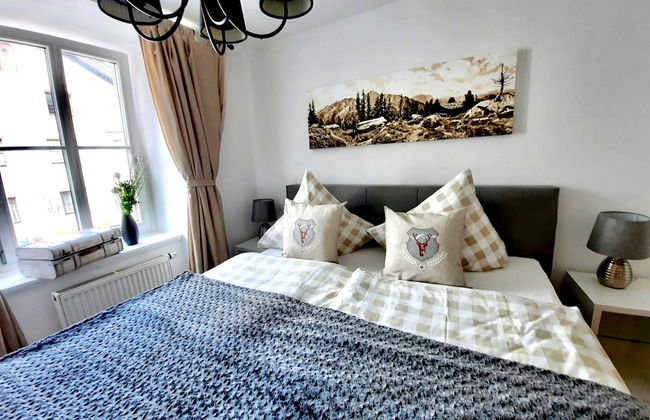 Belle Kitz Pure - Foto 8