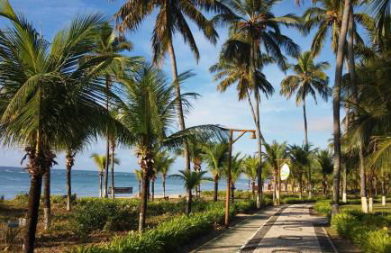 Paraíso dos Corais - Foto 27