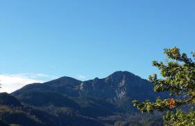 Aparthotel Alpenpark - Foto 28