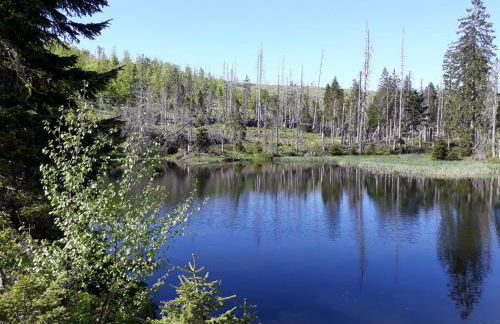 Ferienhaus Schachtenbach - Foto 20