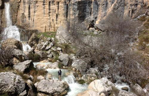 Saluda Alta - Foto 39