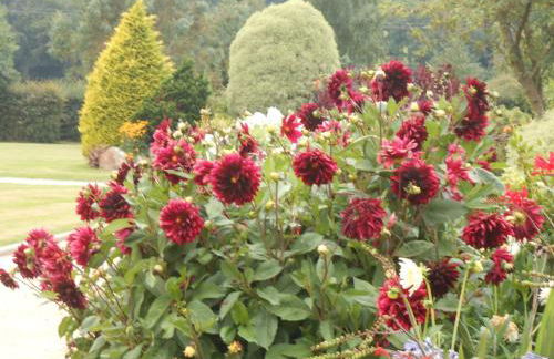 Maison Brix - Foto 8