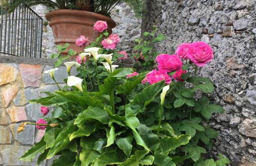 Un Capriccio - Mirto - Foto 21