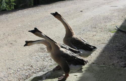 Società Agricola F.lli Angelucci - Foto 113