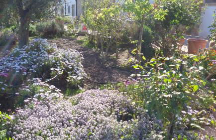 Masseria Celentano Relais & Agriturismo - Foto 57