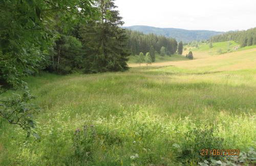 Bergblick - Photo 16