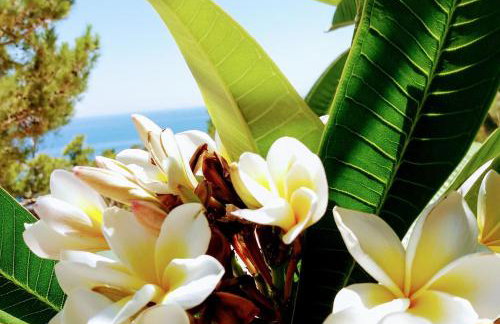 Sun Day Villa - Foto 35