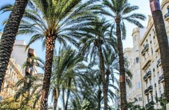 Valencia Apartamentos Goya - Photo 31