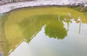 Wohnung mit Sauna, Garten & Schwimmteich - Foto 32