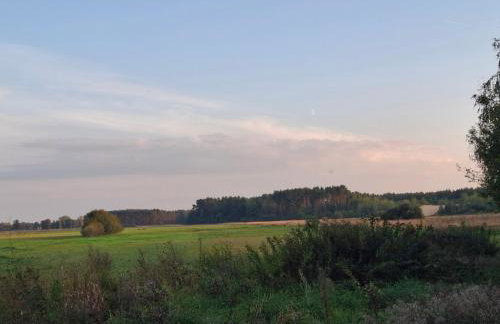 Augustówka - letnisko na Wrzosowiskach - Foto 46