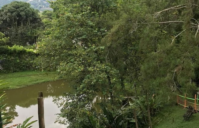 Ecocabañas Pereira - Foto 9