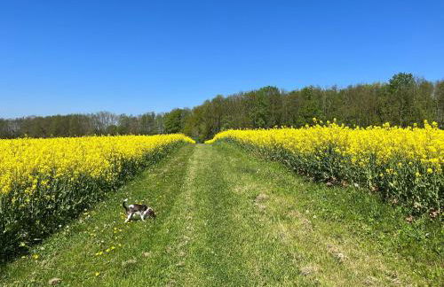 Landidyll Elmenhorst Wohnung 01 - Foto 70