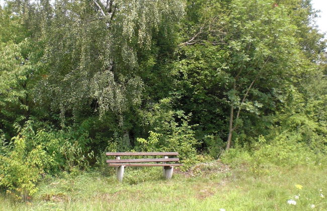 Dog-friendly Holiday Home in the Knull - Foto 24