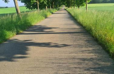 Oase am Nationalpark - Foto 3