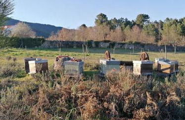 Casa do Negrões - Foto 34