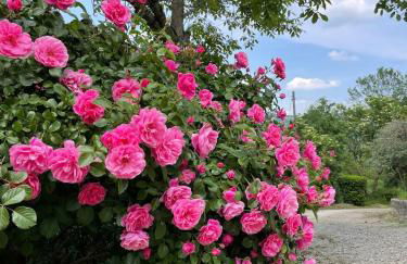 Cottage, relax nella natura, colline, parcheggio, Wifi - Photo 56