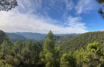 Pilar de la Sima casa rural Arguellite Yeste - Foto 68