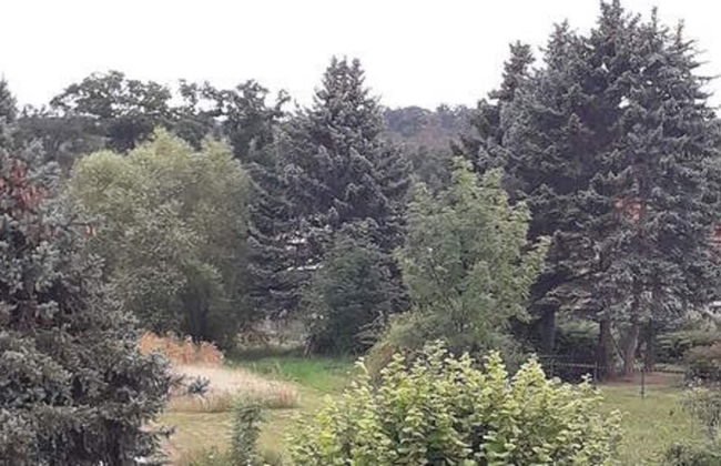 Beautiful Apartment in Blankenburg With Sauna - Foto 39