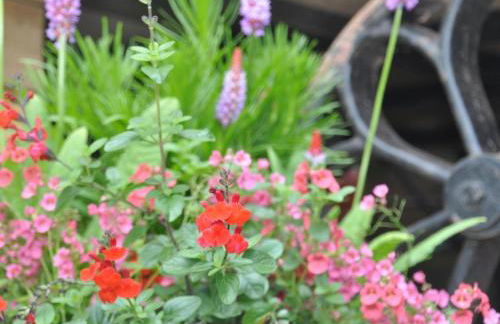 1 Bed in Hereford oc-44235 - Photo 9