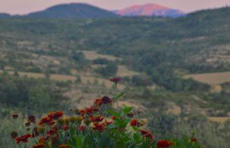 Borda de Fadrín - Foto 22