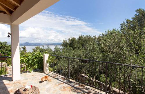 Apartments by the sea Cove Donja Kruscica - Donja Krusica, Solta - 12418 - Photo 25