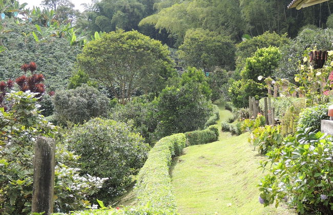 Entre Guaduas - Photo 33