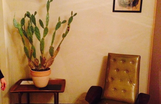 Mood Siro Comi - Foto 21