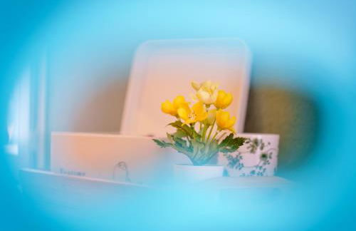 Pause et Sérénité Studio de 28m2 - Foto 12