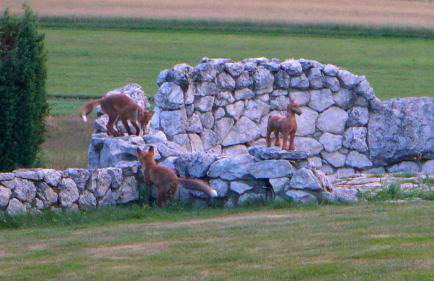 Apartament Podskalański - Foto 26