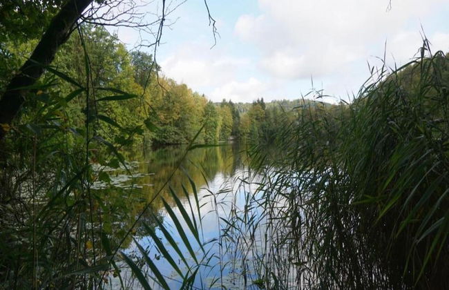 Bungalow im Feriendorf Uslar mit Gartenterrasse - Foto 27