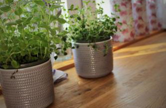 PIZUNY Dom pod dębem z balią na wyłączność - Foto 18